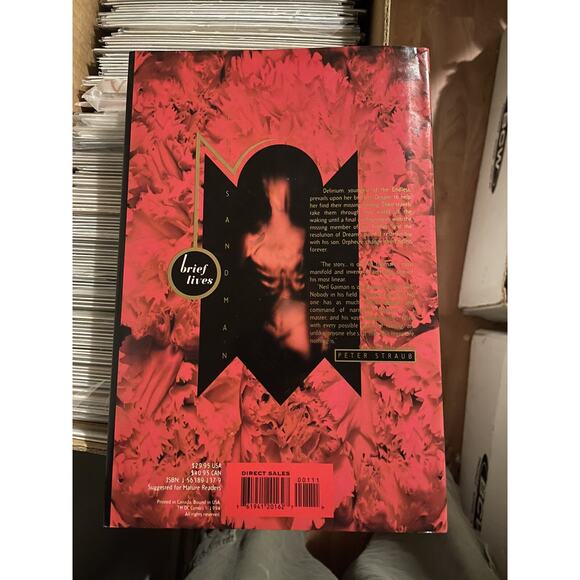 Sandman by Neil Gaiman Brief Lives & A Game Of You Hardcovers (1993 & 1994 DC) - Picture 5 of 5